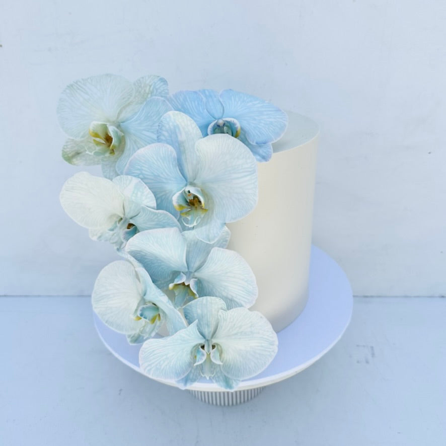Signature Floral Cake Collection - From $200