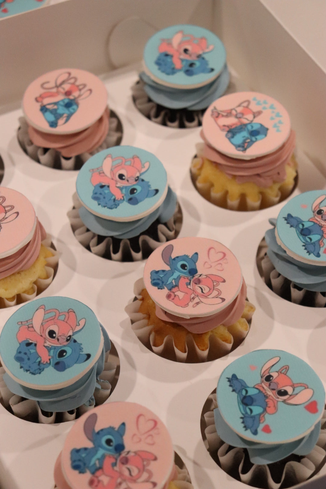 Cupcakes with Discs - From $80