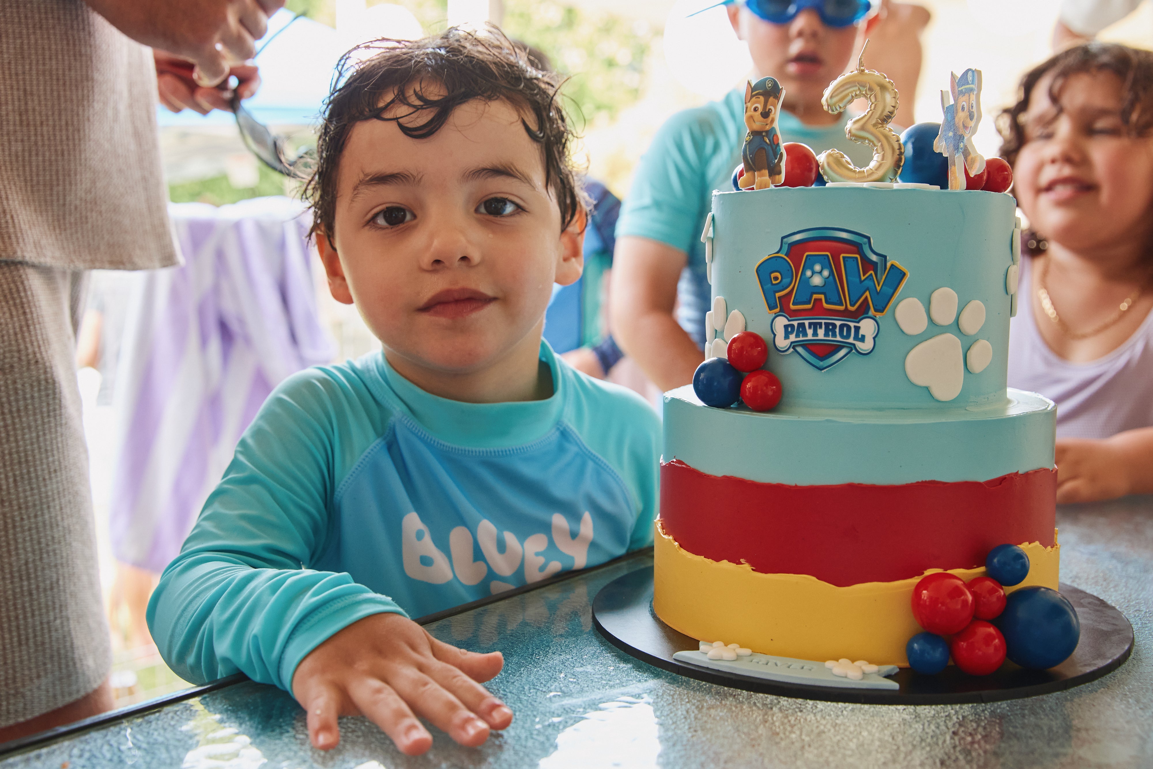 Paw Cake - From $250
