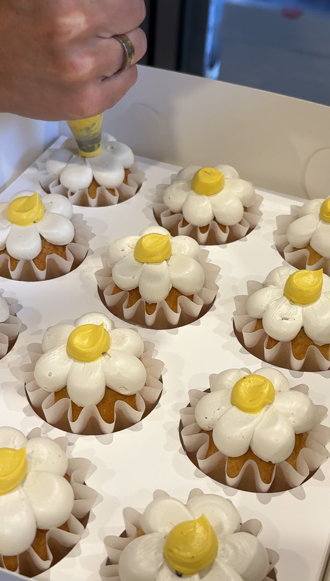 Daisy Cupcakes (Bite-Size) - From $80