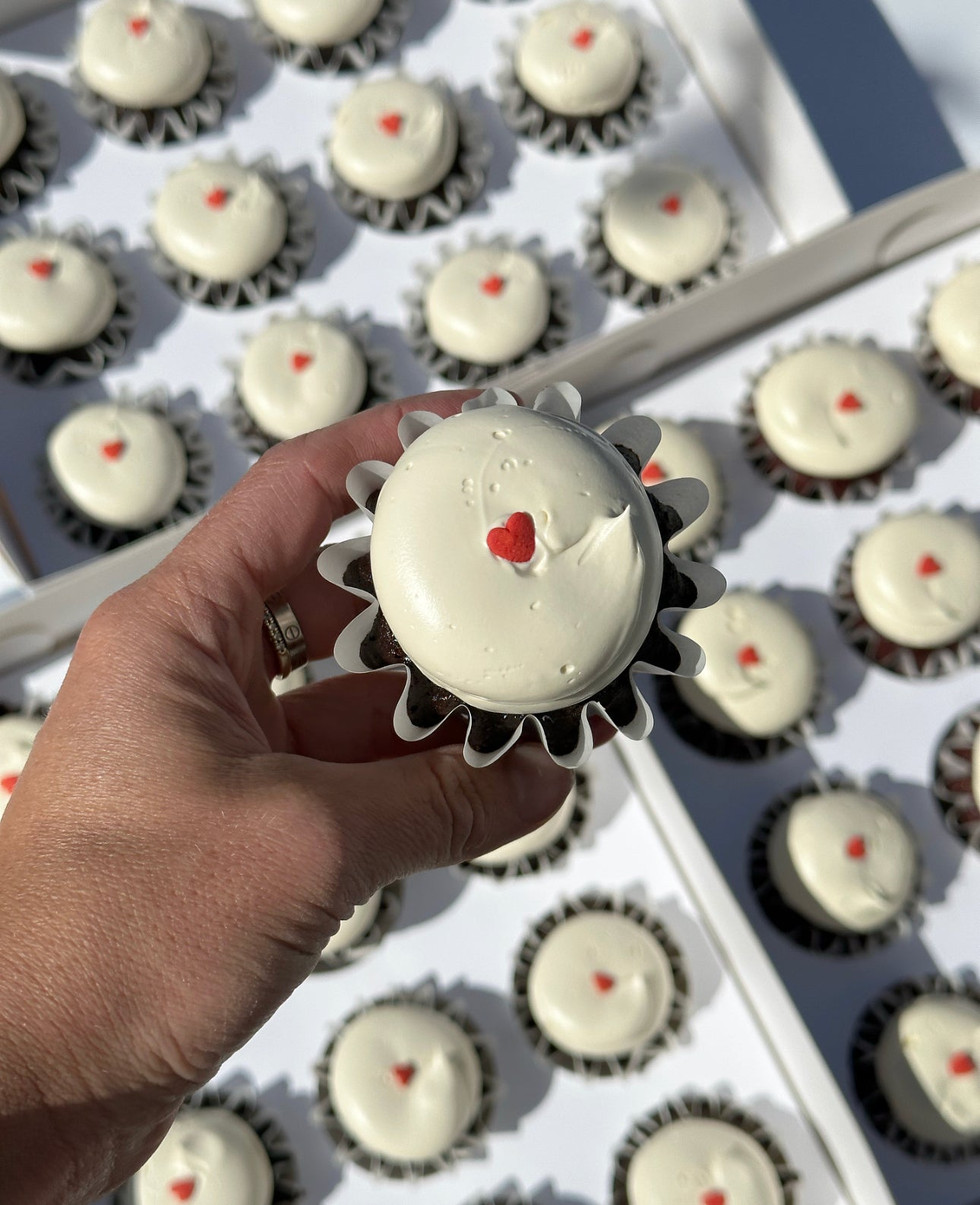 The Minimalist Cupcakes - From $72