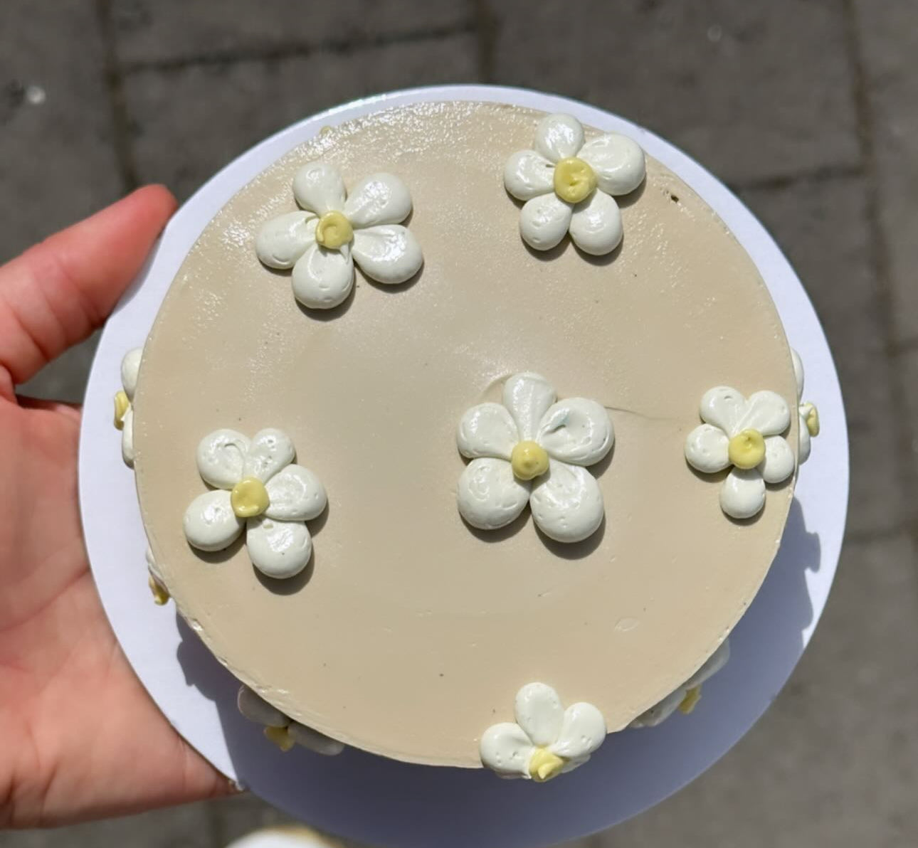 POP Cake - From $44