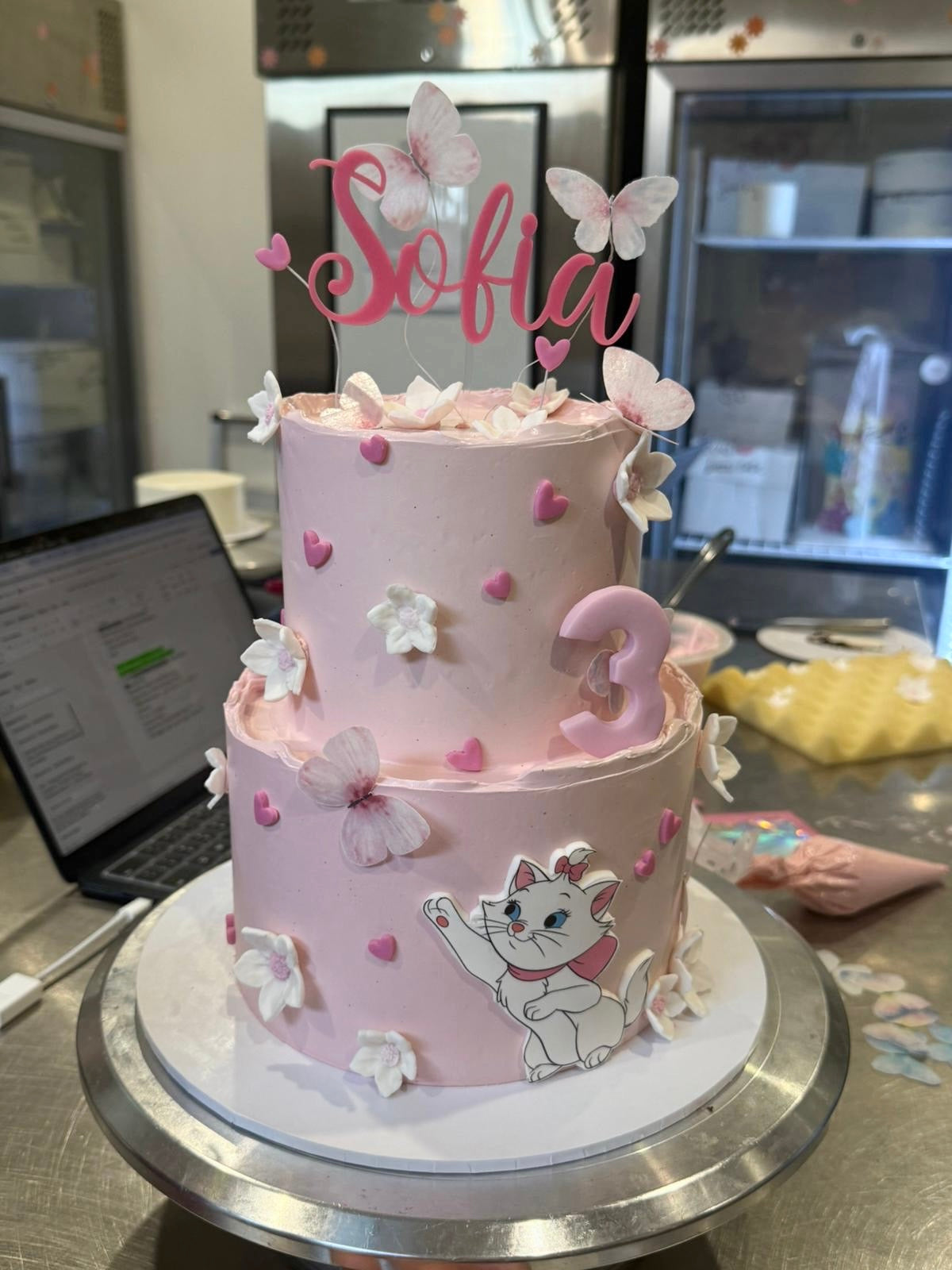 Parisian Cat Cake - From $200