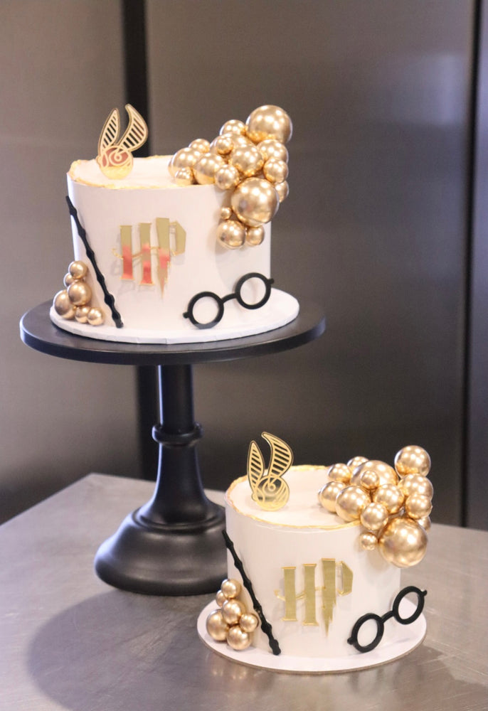 Harry Potter Cake
