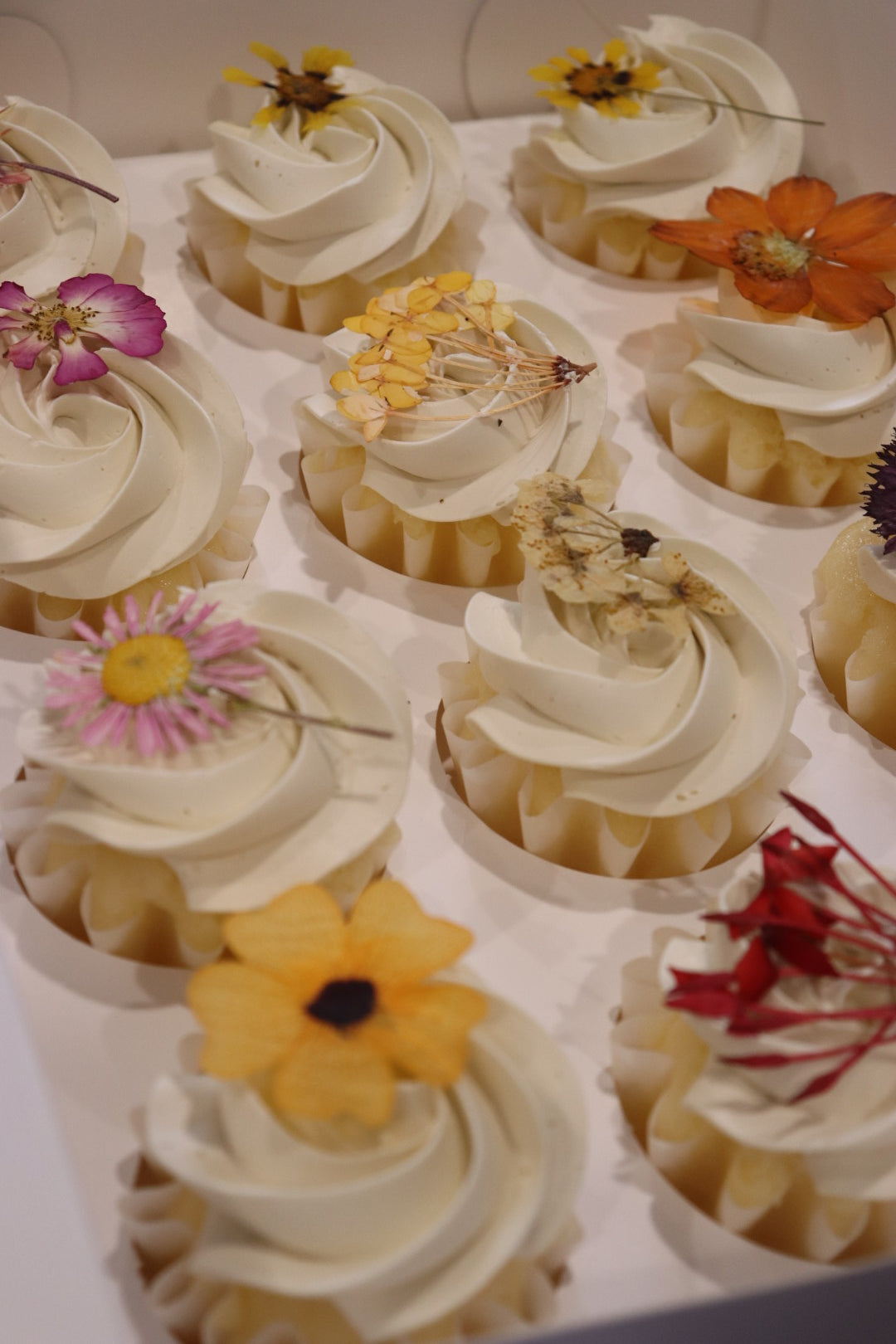 The Dressed Up Cupcakes - From $72