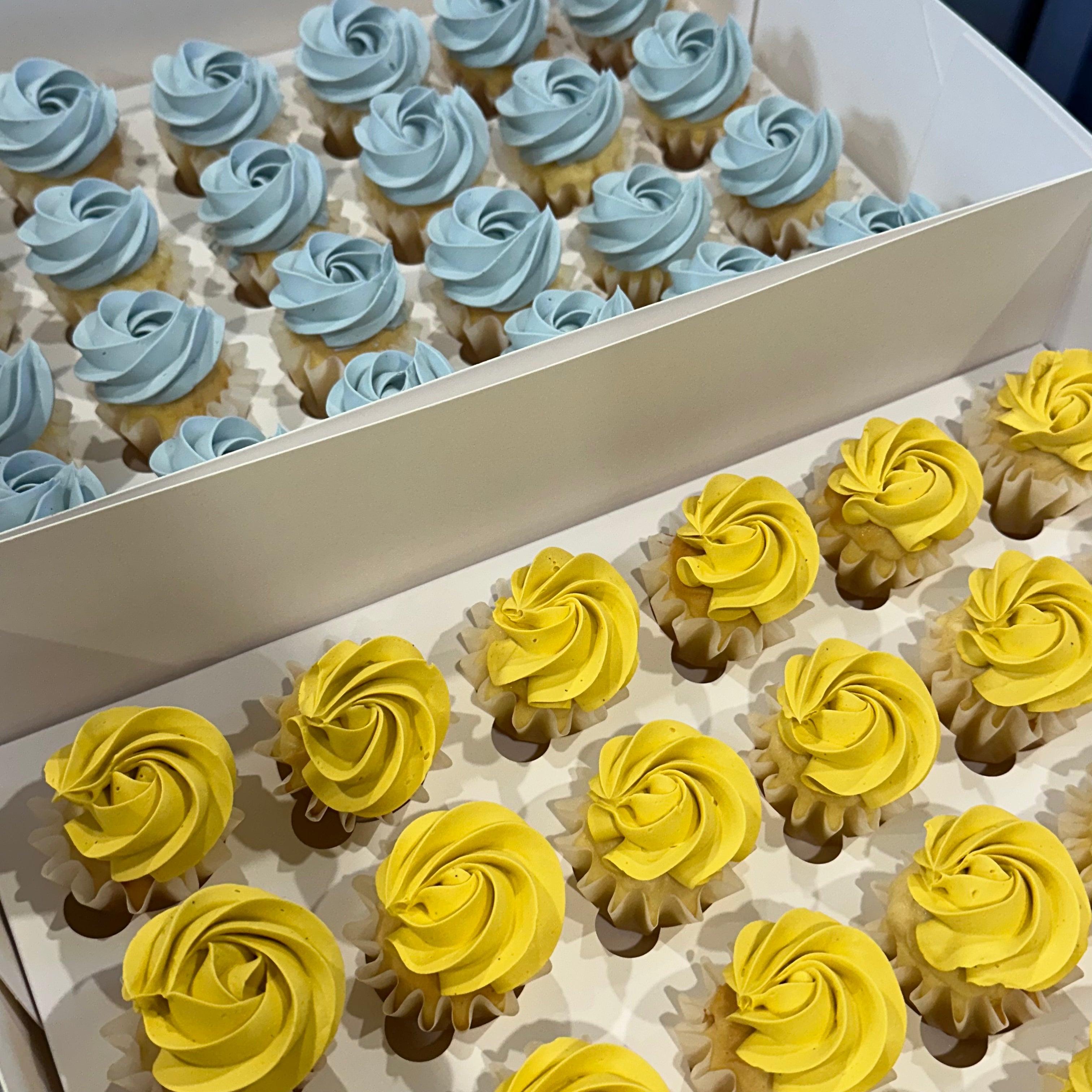 The Minimalist Cupcakes - From $72